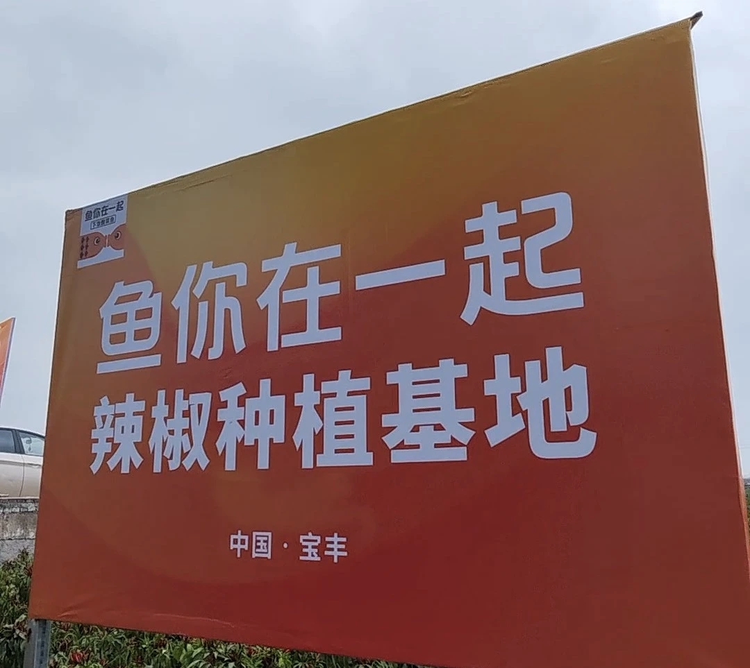 魚你在一起榮獲兩項大獎，展現(xiàn)新質(zhì)生產(chǎn)力下的雇主品牌變革|餐飲界