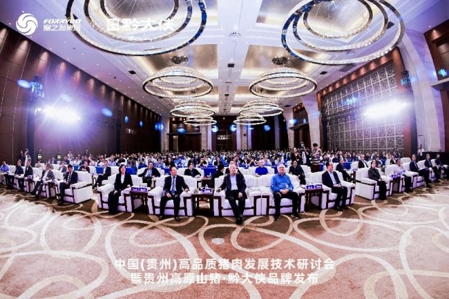 黔大俠品牌正式發(fā)布，貴州高原山豬走向全國餐桌